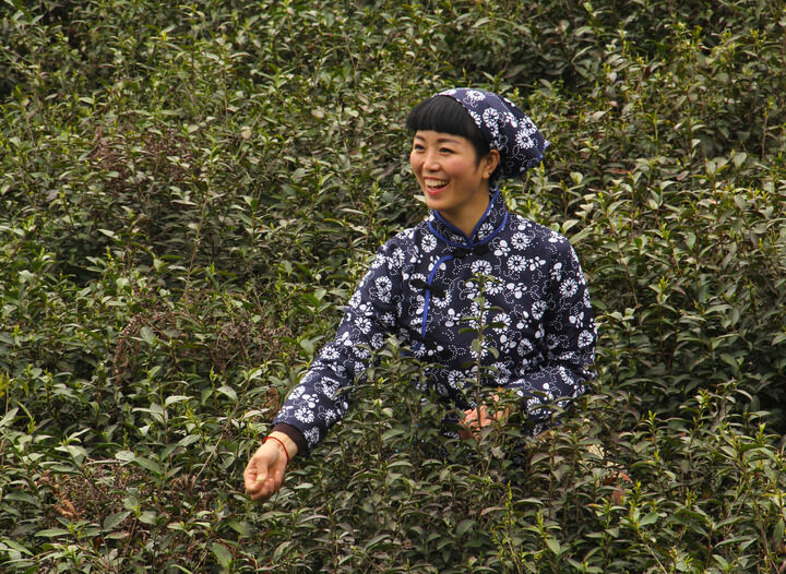 热血动漫